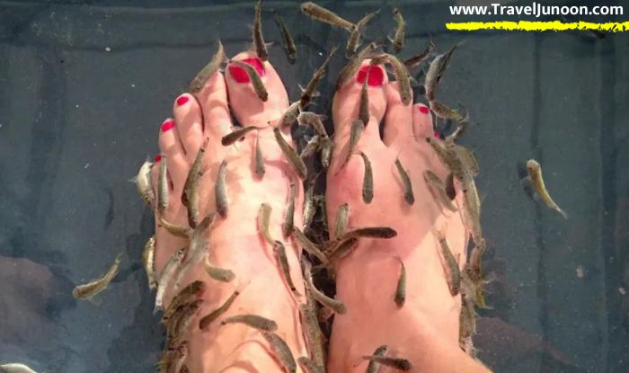 fish pedicure