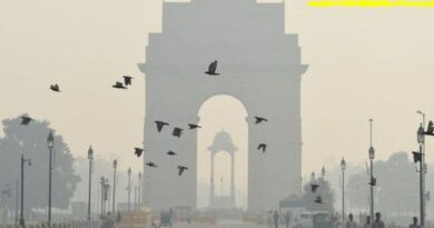 Enjoy winter morning in Delhi