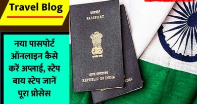 Apply For New Passport Online