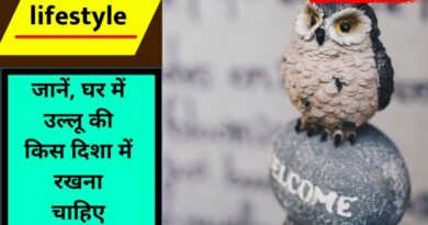 Vastu Tips For Keeping An Owl