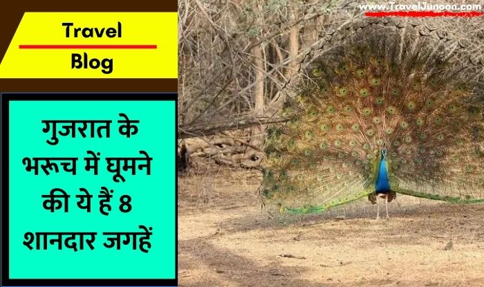 Bhavnagar Travel Blog