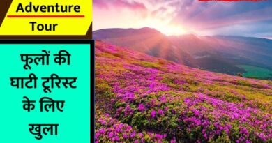 Valley of Flowers