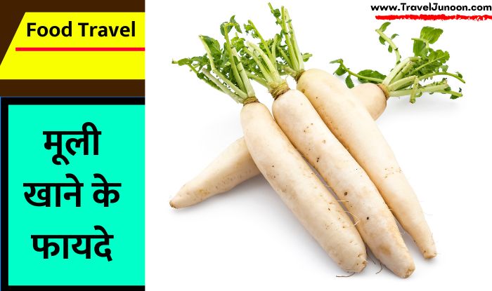 adish benefits For Health